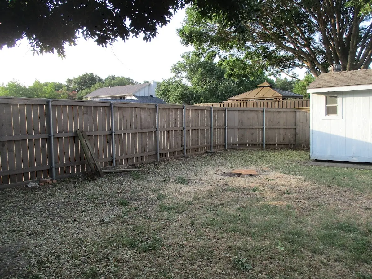 Cleared yard after professional tree removal in Lake Preston